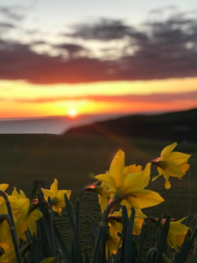 Bunnahabhain 5 - Farm Stay - Stunning Sea And Rural Views 斯特兰拉尔 外观 照片
