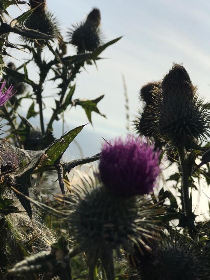 Bunnahabhain 5 - Farm Stay - Stunning Sea And Rural Views 斯特兰拉尔 外观 照片