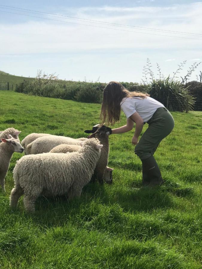 Bunnahabhain 5 - Farm Stay - Stunning Sea And Rural Views 斯特兰拉尔 外观 照片