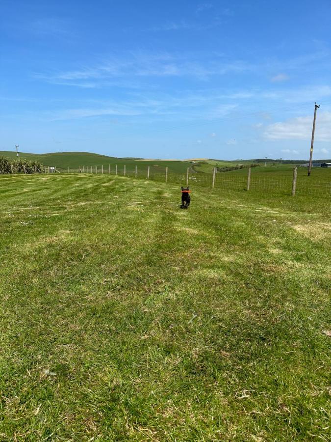 Bunnahabhain 5 - Farm Stay - Stunning Sea And Rural Views 斯特兰拉尔 外观 照片